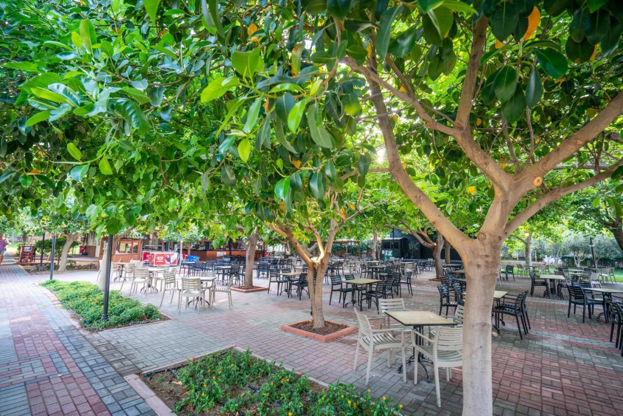 Gardenia Beach Hotel Alanya Kültér fotó